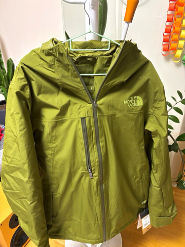 The north face descendit - the,